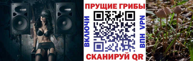 продажа наркотиков  MEGA ССЫЛКА  Галлюциногенные грибы Psilocybe  Пересвет 